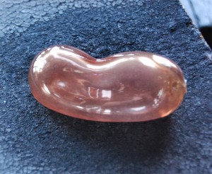 kidney small bleikt kidney small bleikt