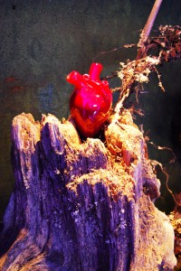heart heart